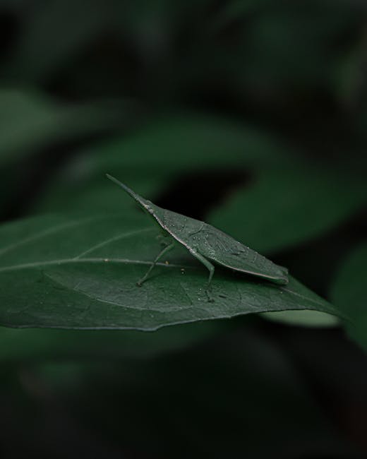 A close-up image of a green leaf in a natural outdoor setting, with a small green caterpillar positioned along the edge of the leaf's surface. The background consists of blurred dark green foliage, indicating a shaded environment. The leaf appears healthy, with visible veins, and the caterpillar blends in well with the leaf's surface. This scene captures a moment of nature, emphasizing the plant and insect interaction, often encountered during residential garden or outdoor property inspections related to house removals or packing activities. Man and Van Brentford may be involved in local home relocations where outdoor greenery forms part of the property landscape, supporting the visual context of relocation logistics and the natural environment.